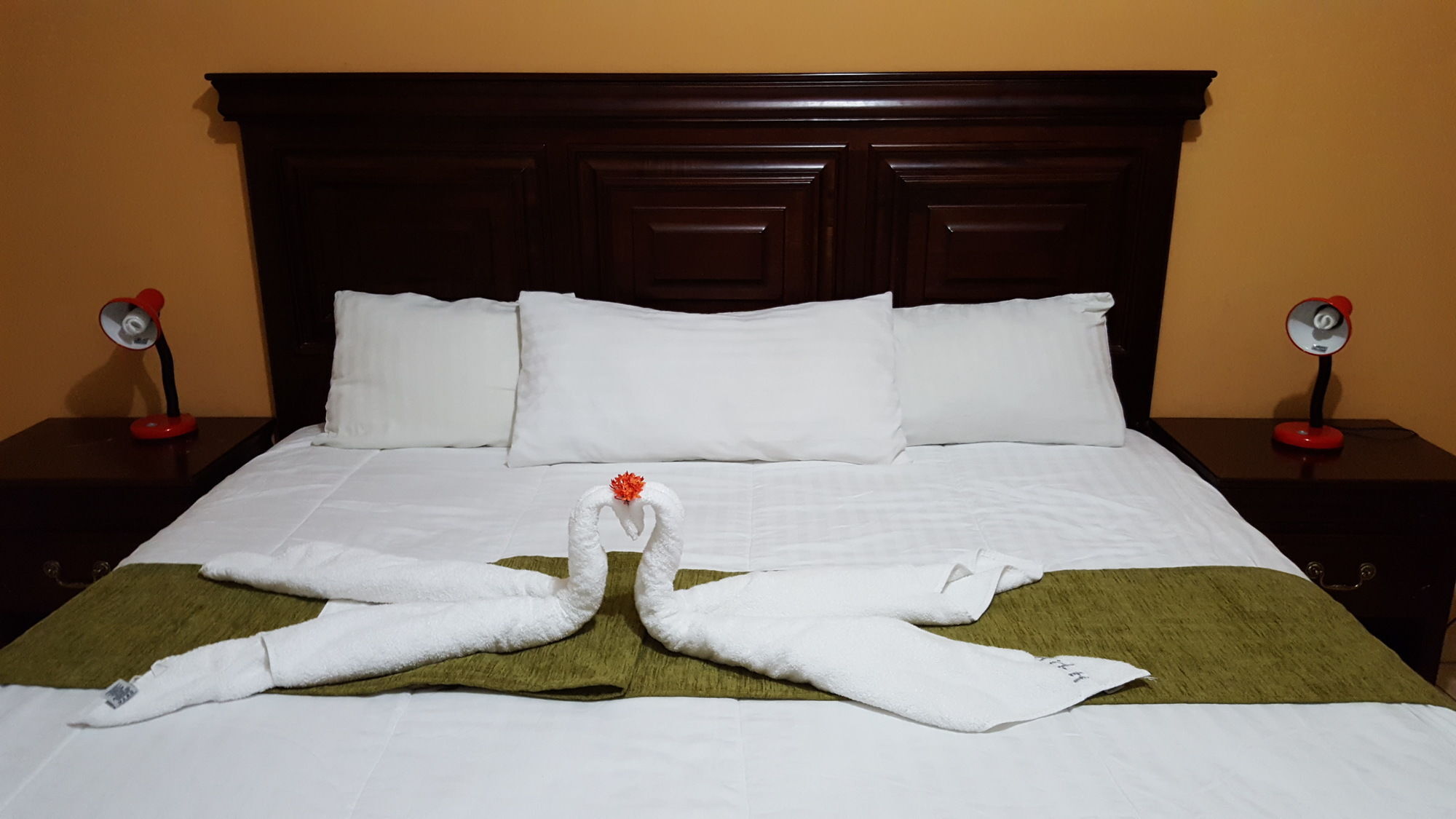 Apart Hotel Pico Bonito 라 세이바 외부 사진